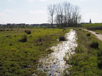 Kalkense Meersen (België)